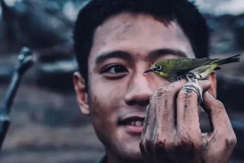 Nghịch lý doanh thu phim Việt đầu năm và cuối năm 2025
