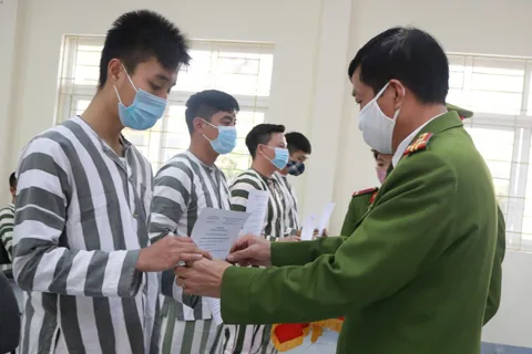 Xây dựng Nghị định quy định chi tiết một số điều của Luật Chuyển giao người đang chấp hành án phạt tù