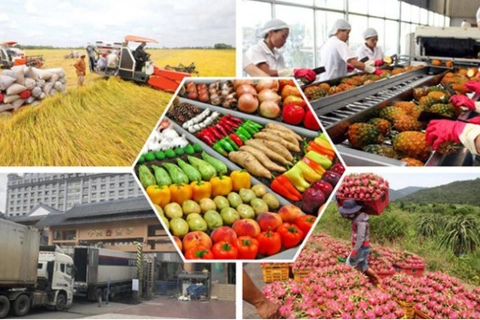 Đơn giản hóa thủ tục hành chính liên quan đến nhiều hoạt động sản xuất, kinh doanh