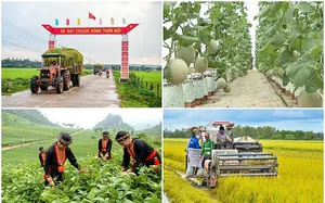 Tích hợp 3 chương trình mục tiêu quốc gia, tránh chồng chéo
