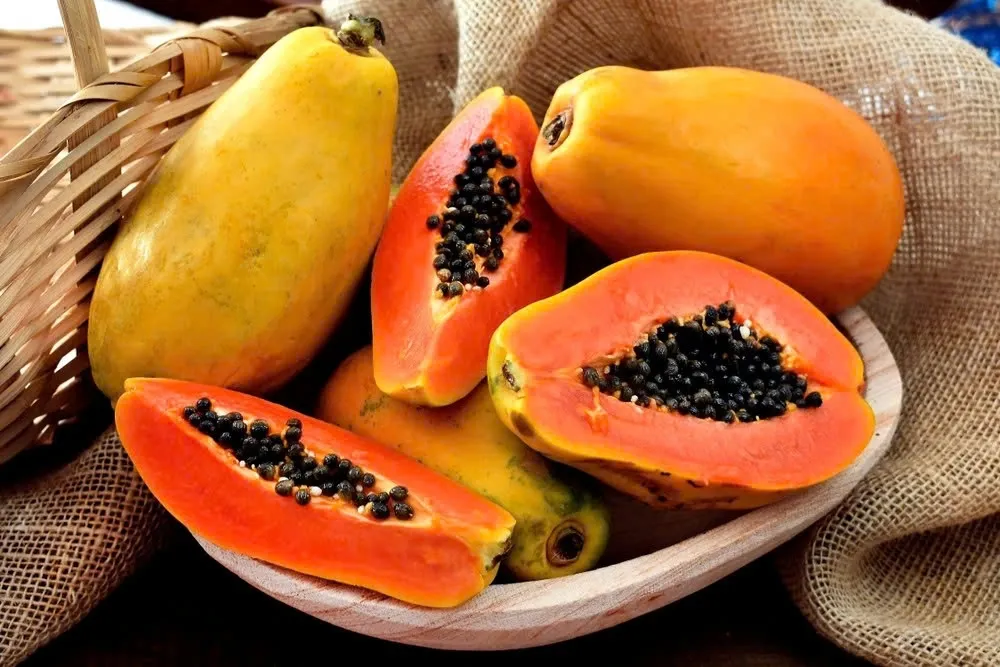 Hình ảnh 1