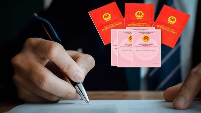 Hình ảnh 1