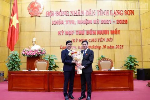 Phê chuẩn kết quả bầu, miễn nhiệm chức vụ Phó Chủ tịch UBND tỉnh Lạng Sơn