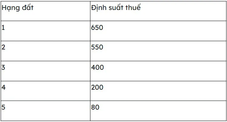 Hình ảnh 3