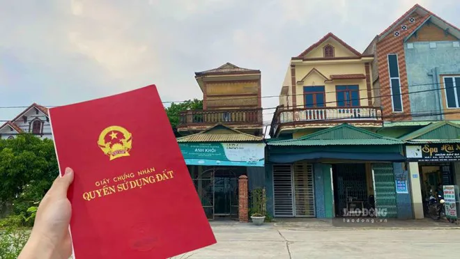Hình ảnh 1