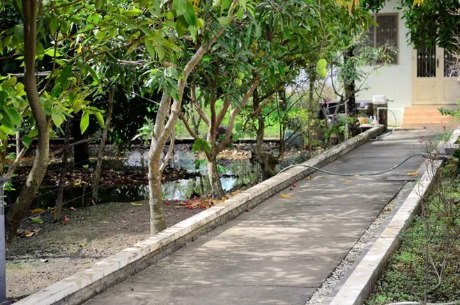 Hình ảnh 1