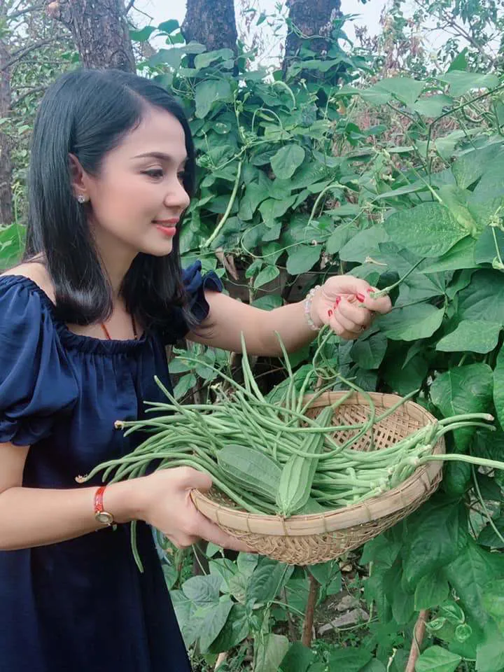 Hình ảnh 10