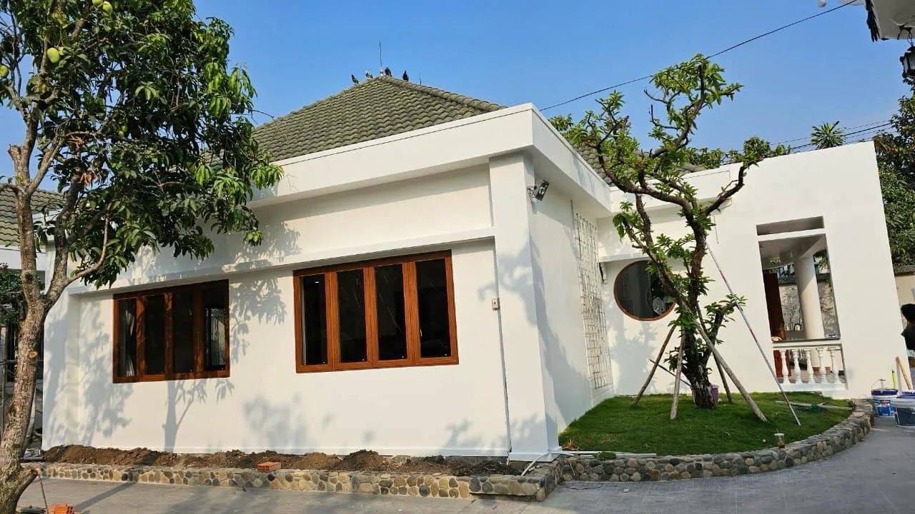 Hình ảnh 8