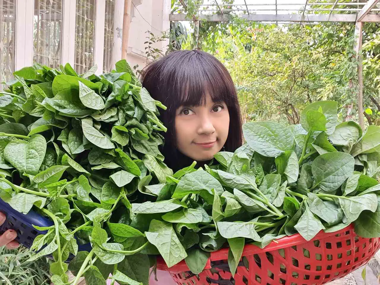 Hình ảnh 6