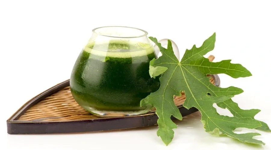 Hình ảnh 1