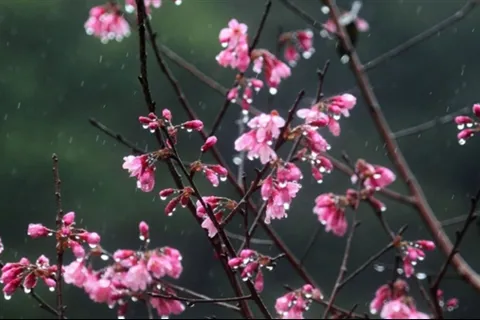 Thời tiết 10 ngày tới tại Hà Nội và cả nước ra sao?