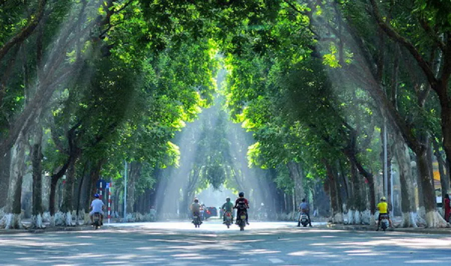 Hình ảnh 1