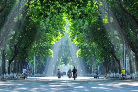 Thời tiết ngày 13/5/2025: Miền Bắc, Hà Nội trời mát, giảm mưa, hửng nắng