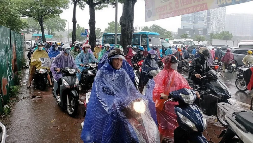 Hình ảnh 1