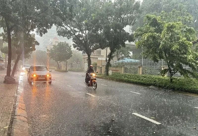 Dự báo thời tiết ngày 20/6/2025: Các tỉnh miền Bắc, Hà Nội mưa to cục bộ
