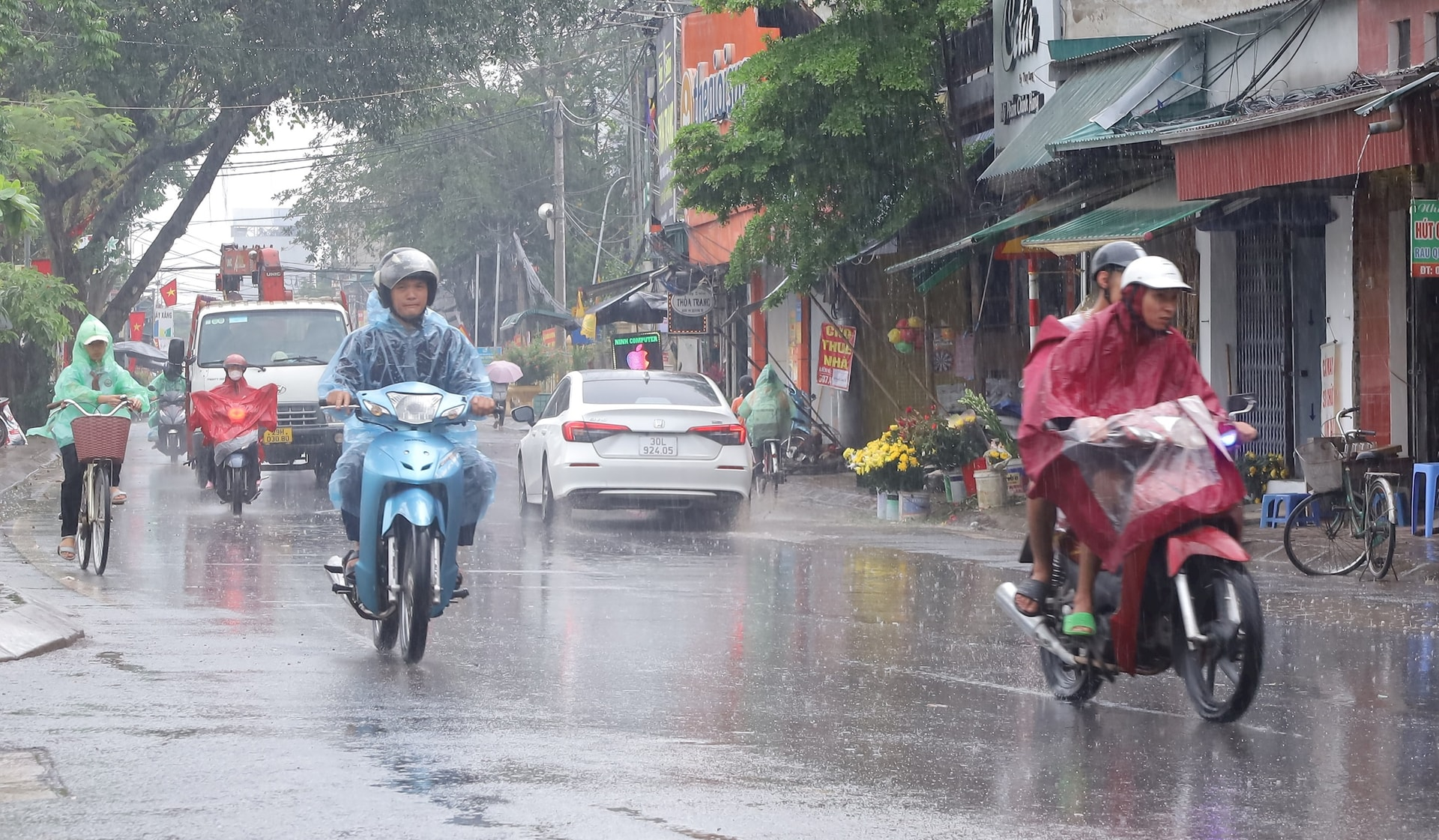 Hình ảnh 1