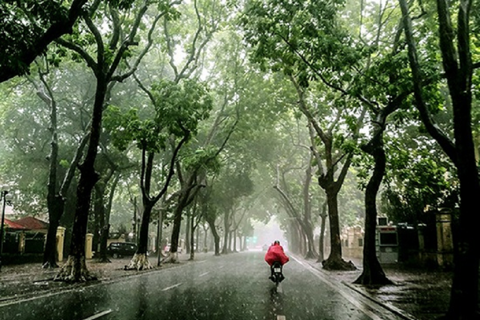 Dự báo thời tiết ngày 15/5/2025: Miền Bắc, Hà Nội mưa rào và dông, trời mát