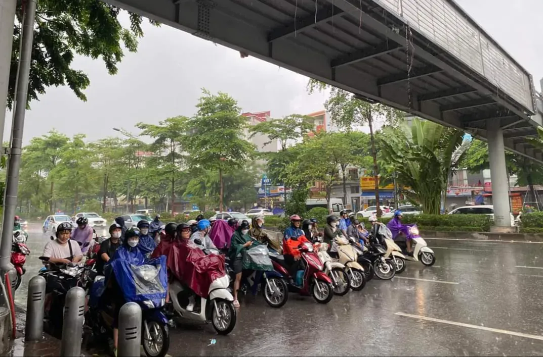 Hình ảnh 1