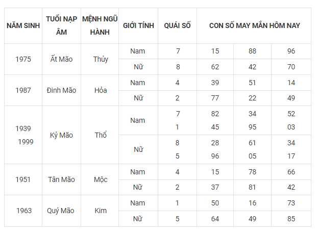 Hình ảnh 4