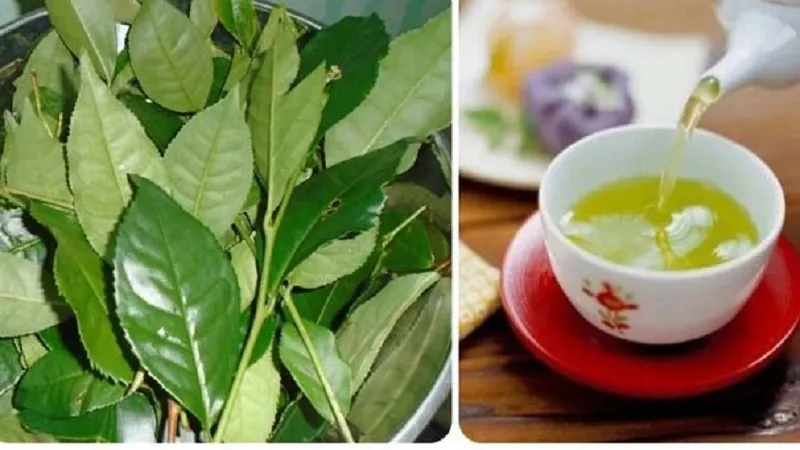 Hình ảnh 1