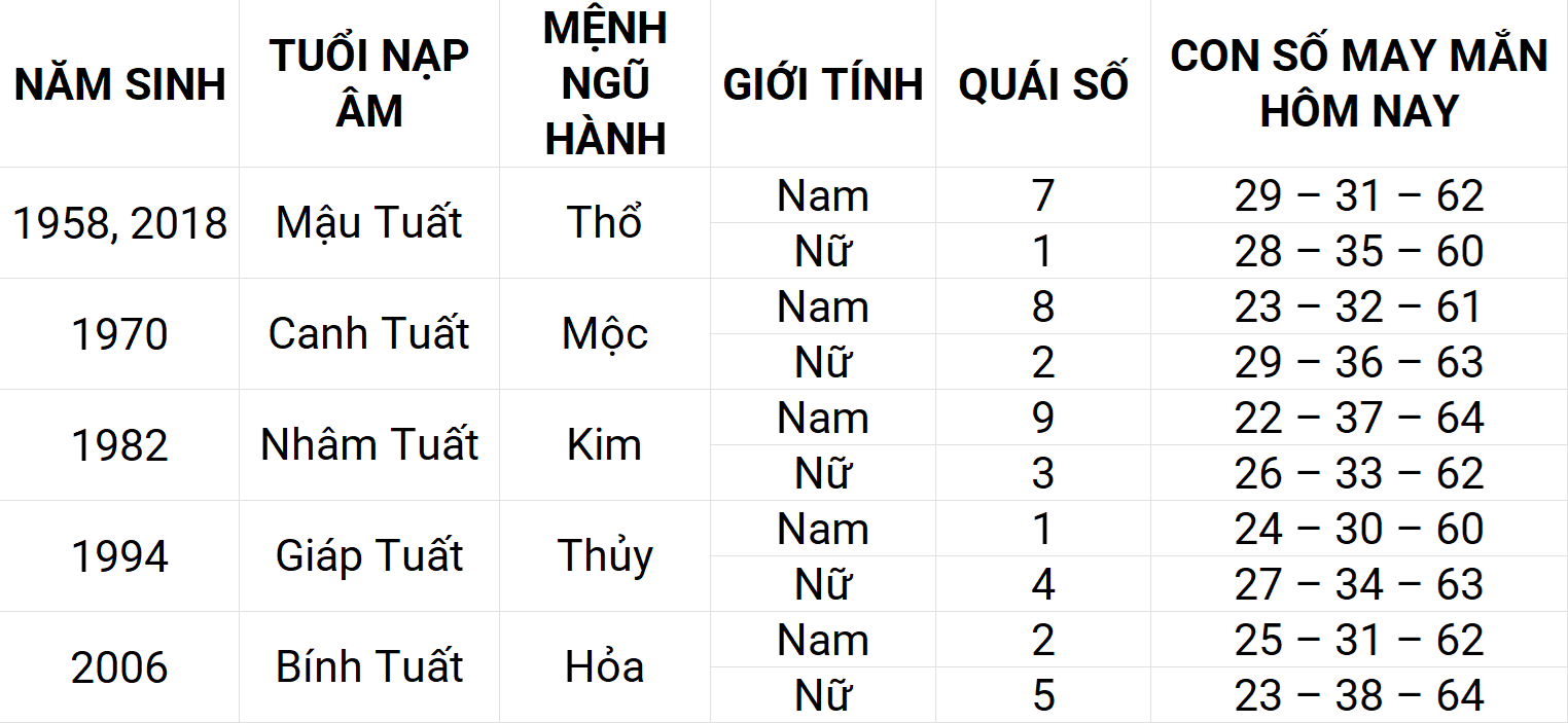 Hình ảnh 11