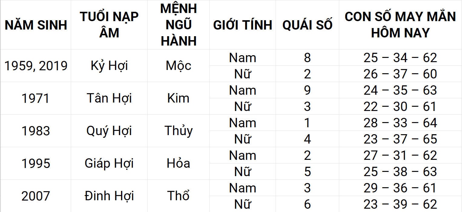 Hình ảnh 12
