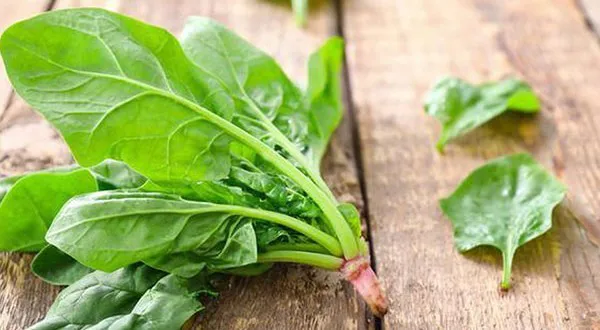 “Vua rau xanh” ăn vào giúp khỏe từ trong ra ngoài bán đầy chợ