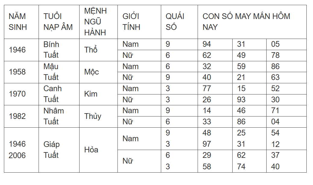 Hình ảnh 11