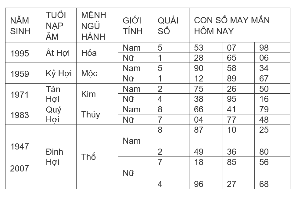 Hình ảnh 12
