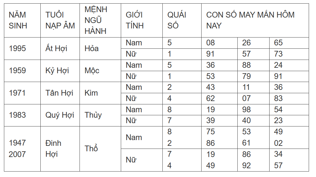 Hình ảnh 12