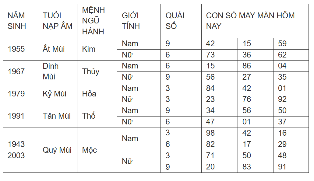 Hình ảnh 8