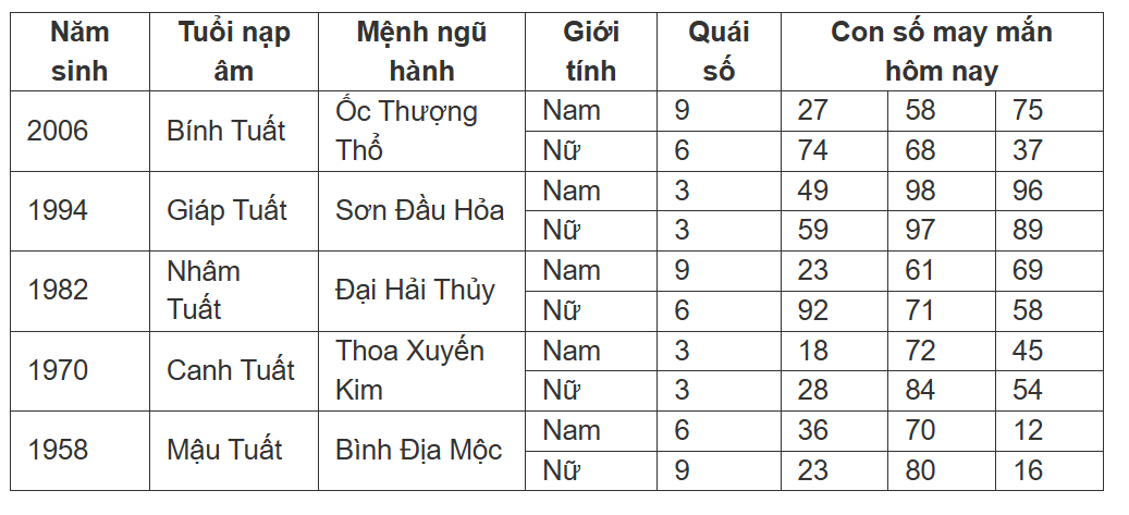 Hình ảnh 11