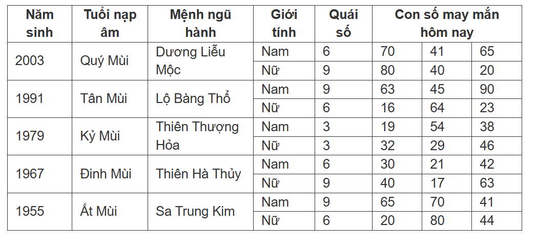 Hình ảnh 8
