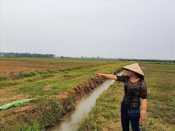 Hình ảnh 1