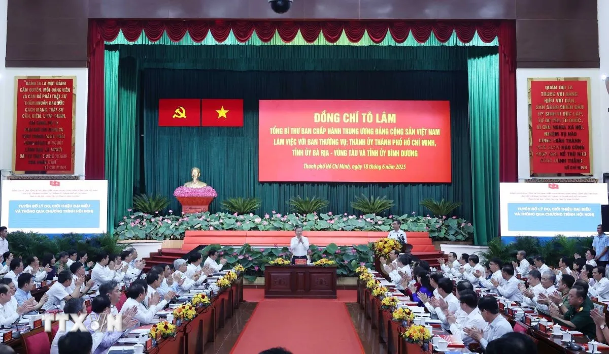Hình ảnh 2