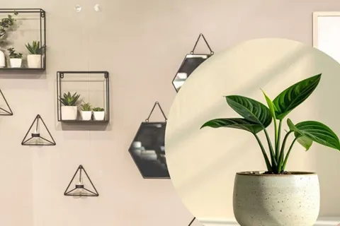 Mẹo trang trí nhà cửa, làm mới không gian sống với chi phí nhỏ
