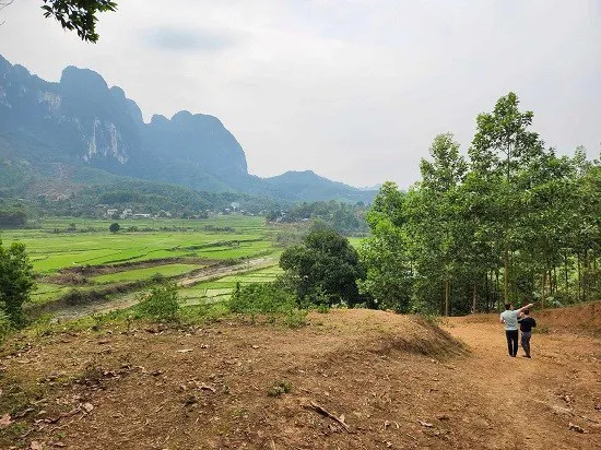 Hình ảnh 1