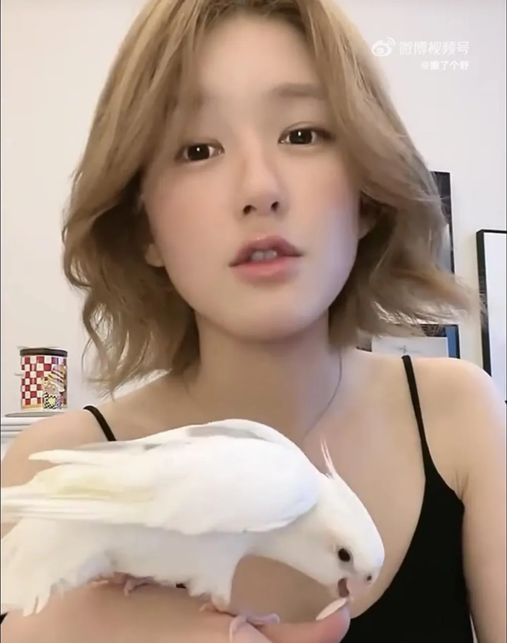 Hình ảnh 1