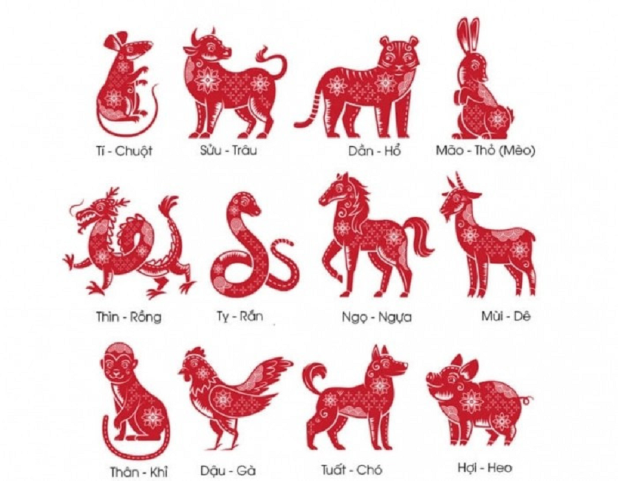 Hình ảnh 1