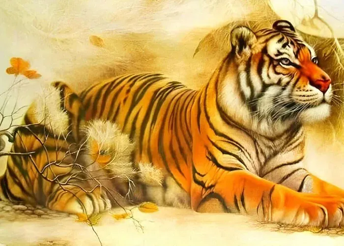 Hình ảnh 1