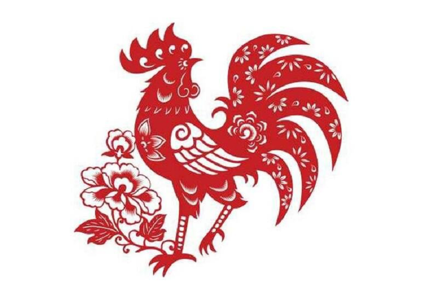 Hình ảnh 1