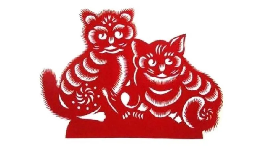 Hình ảnh 1
