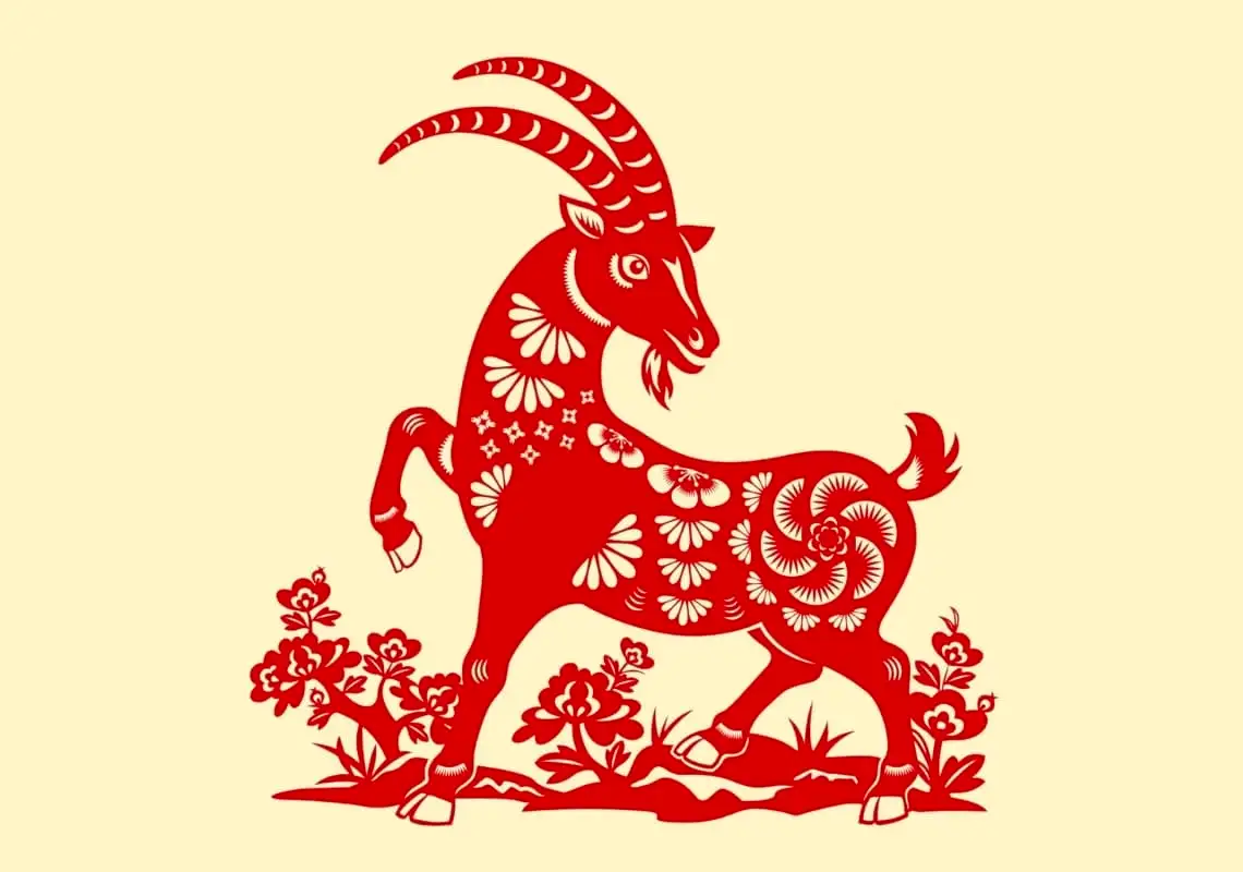 Hình ảnh 2