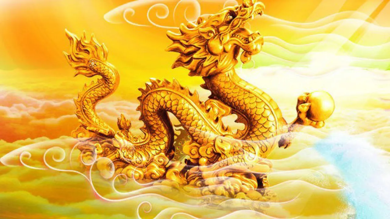 Hình ảnh 1