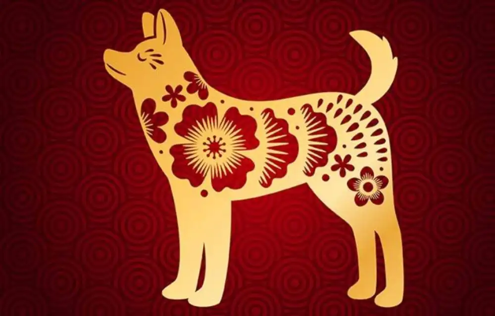 Hình ảnh 1