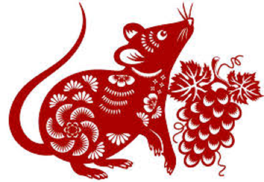 Hình ảnh 1