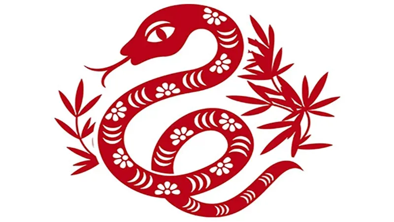 Hình ảnh 1