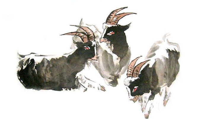 Hình ảnh 1