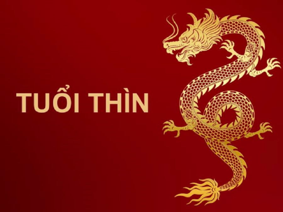 Hình ảnh 1