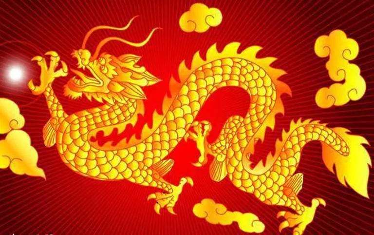 Hình ảnh 1
